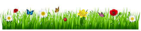 2022 03 09 spring border L