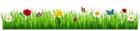 2022 03 09 spring border R