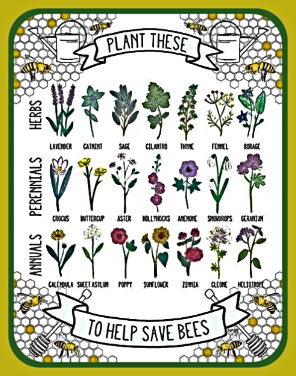 2022 03 23 Feed the Bees 450