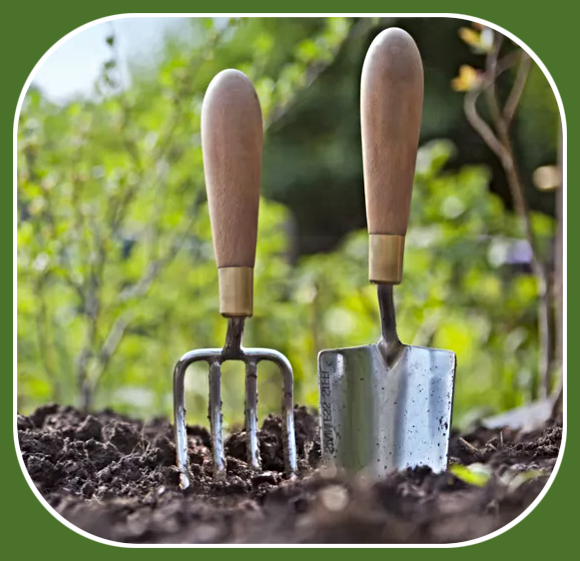 2022 05 11 garden planting 1