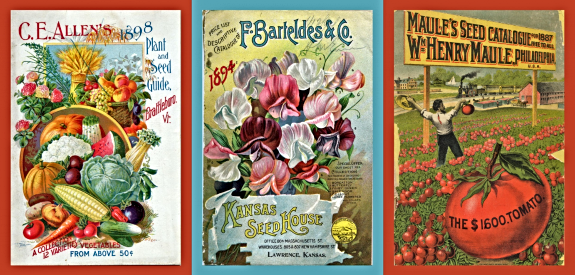 2023 03 15 SEED PACKETS 1
