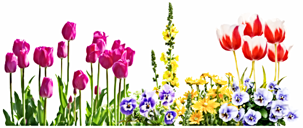 2023 03 22 SPRING FLOWERS x 1