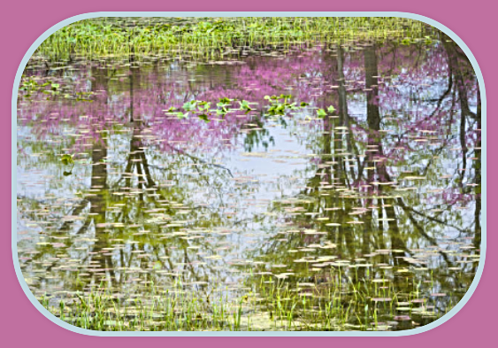 2024 04 03 REFLECTIONS 1