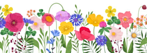 2025 03 26 spring border 1