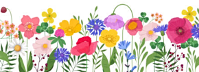 2025 03 26 spring border 2