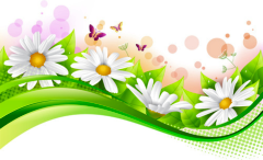 SPRING BORDER