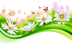SPRING BORDER 1