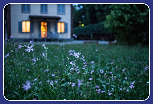 2024 06 19 Summer night