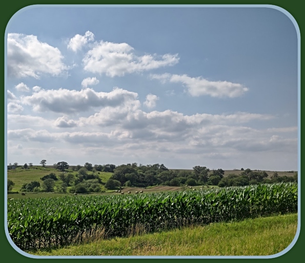 2024 07 10 SUMMER FIELDS
