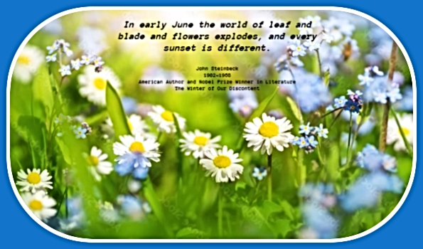 2025 06 04 JUNE quote 1