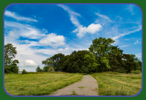 summer landscape