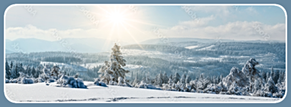 2025 01 08 winter snow