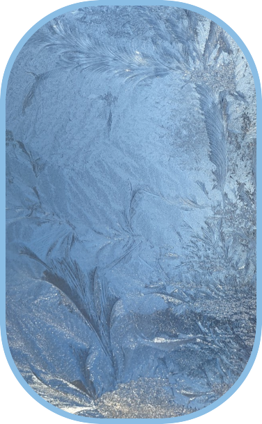 2025 02 19 FROSTY WINDOW
