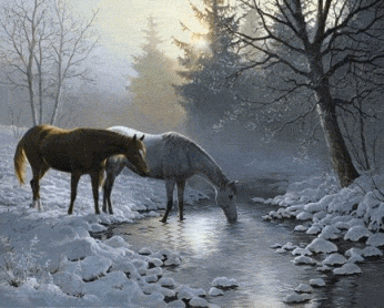Winter horses