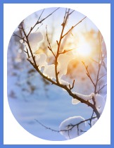 winter sun