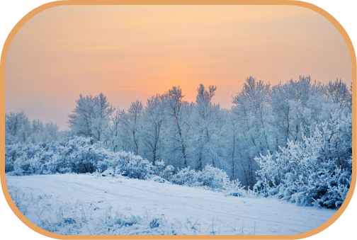 winter sun