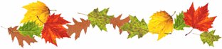 fallborder 1