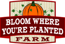 2010_Bloom_Where_Youre_Planted_Logos_002
