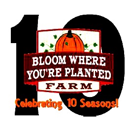 2014-09-17 BWYP_logo