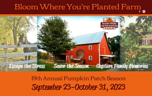 2023 09 20 AVO BWYP pumpkin patch 1