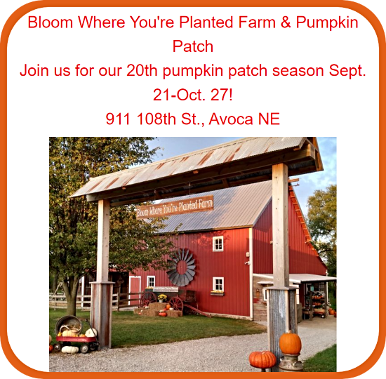 2024 10 02 AVO BWYP farm