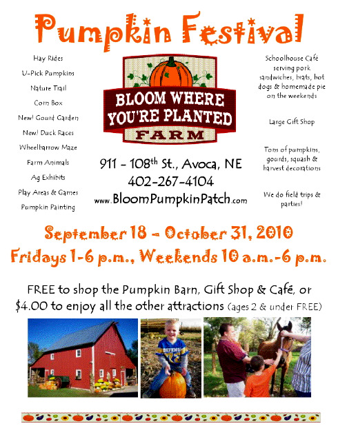 Pumpkin_Patch_Flyer
