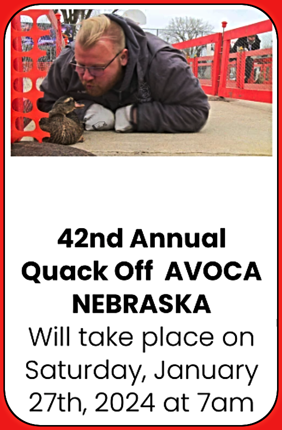 2023 11 29 AVO QUACK OFF 1