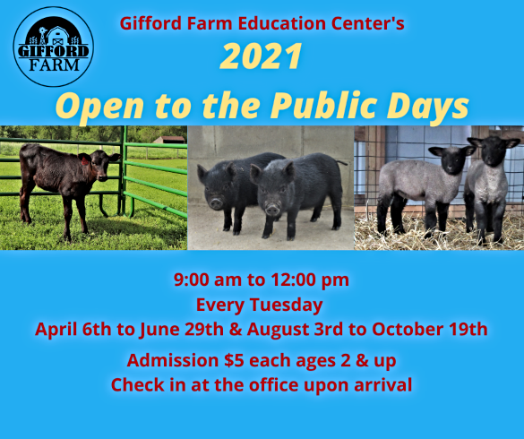 2021 03 03 Gifford Farm 1 1