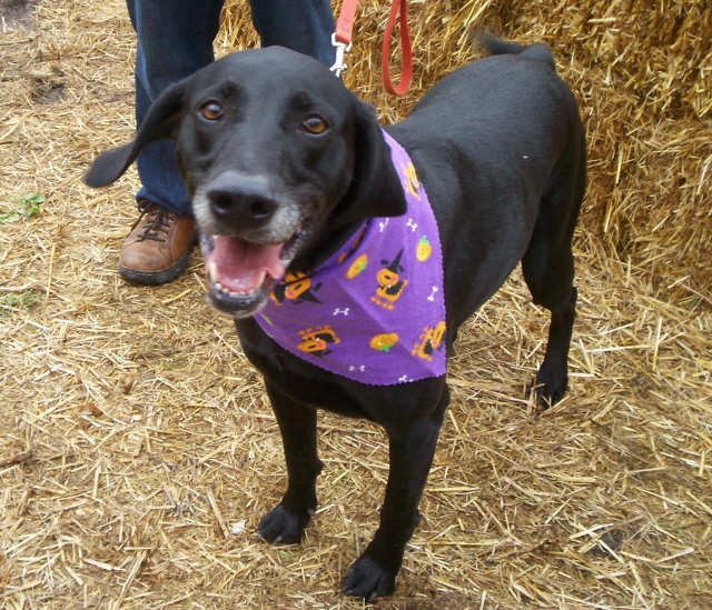 Doggy_Day__Bloom_Where_Youre_Planted
