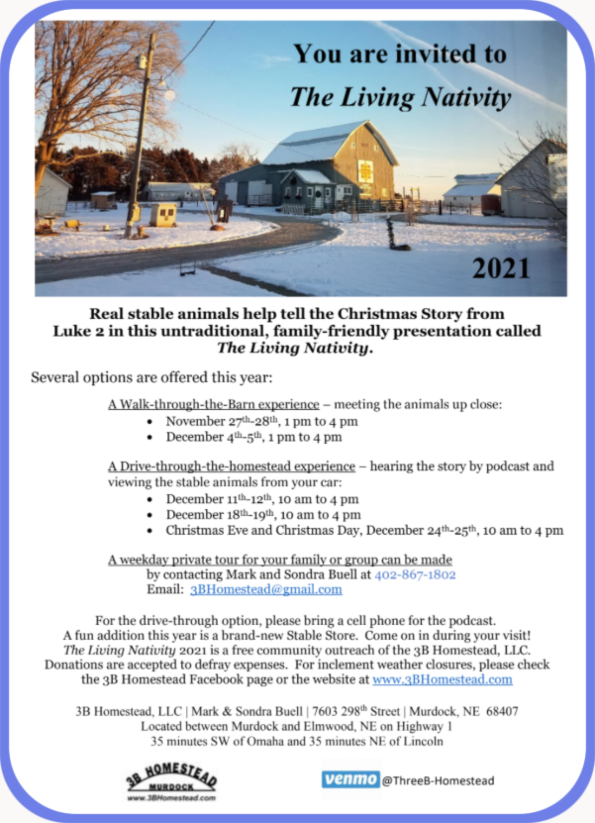 2021 11 17 3B Xmas