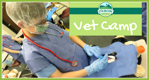 2017 03 29 MDK OxbowVetCamp