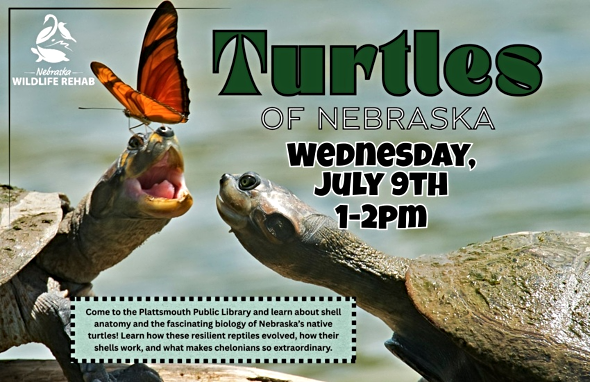 2025 06 11 PLT Lib Turtles of Nebraska