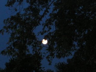 08-23-2010_Full_moon