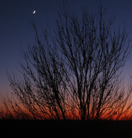 11-20-09_Crescent_moon__sunset