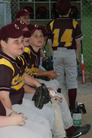 murray_baseball