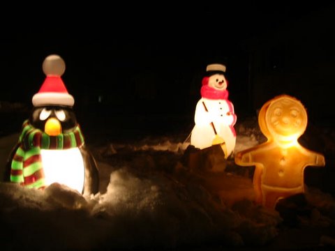 12-21-09_Murray_Christmas_Lights_057