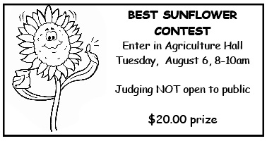 04bestsunflower