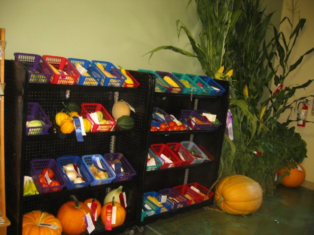 08-05-09_Cass_Co._Fair_001