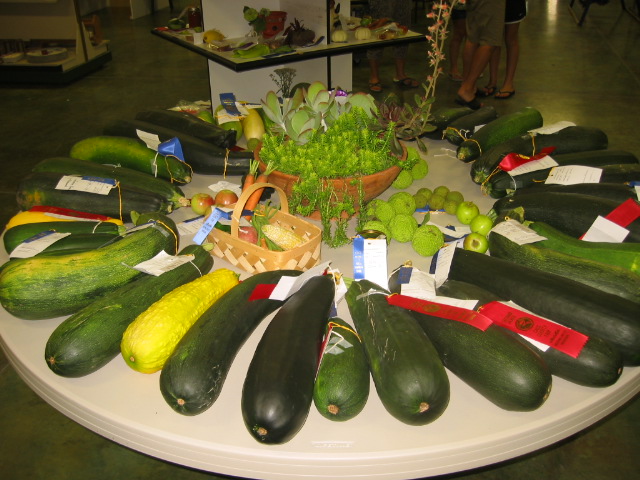 08-05-09_Cass_Co._Fair_004