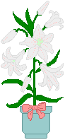 springclip3
