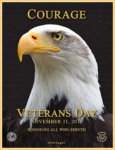 2016 10 12 LOFTE Vets Day eagle