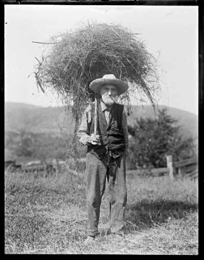 2023 11 15 old farmer 1