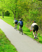 bicyclists